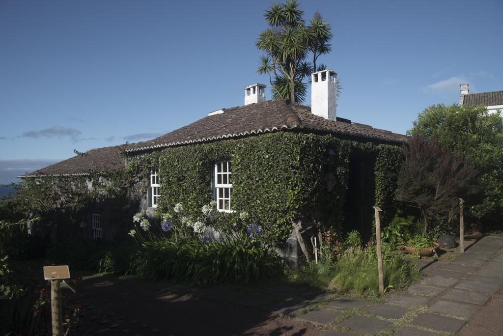 Quinta Das Buganvilias Castelo Branco  Exterior photo